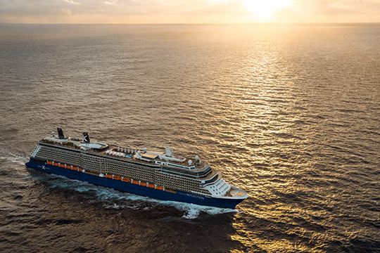 Celebrity Reflection