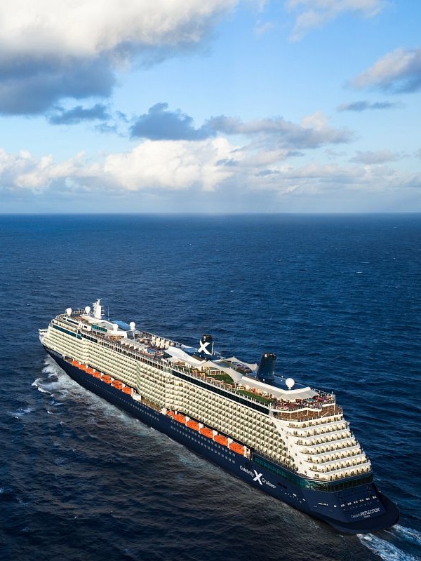 Celebrity Reflection