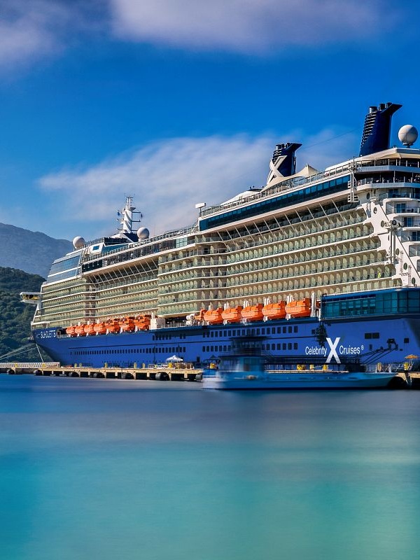 Celebrity Silhouette