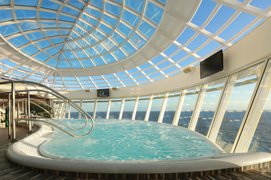 Бассейн только для взрослых на борту лайнера Oasis of the Seas