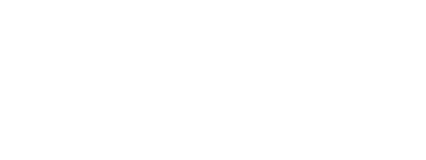 Логотип Neptun